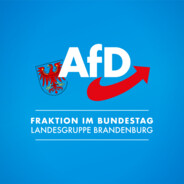 AfD Fraktion Brandenburg - steam id 76561199113761064
