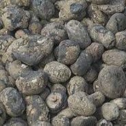 BakedSpud202