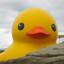 JustDuck