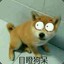 chenguocai