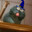 Wizard Remi