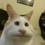Avatar of thD