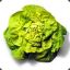 cRacKsaLaT