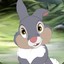 Thumper