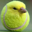 Chirp Birdsley