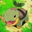 Turtwig