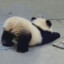 么啊马先生.