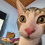 Facu