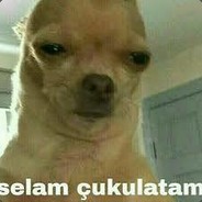 Skeet.cc avatar