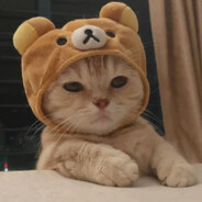 miau