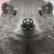 BOBR avatar