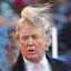 Donald Trumps Hair