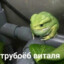 Steam avatar