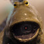 SPYmomofar