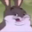 BigChungus