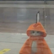 odmsl avatar