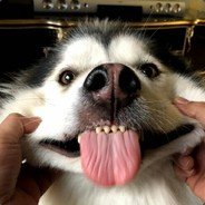 老来得子高育良