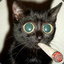 Smokin Cat