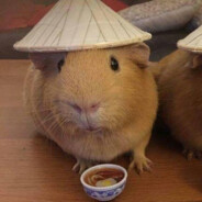 ^ihatemosquito♡♡♡