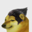 Garya