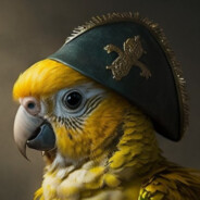 PERIQUITO