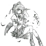 电脑玩家[射命丸.文]