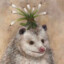 SquirrelEggs686