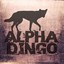 Alpha Dingo
