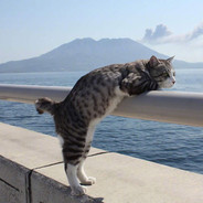 教皇的野排日记（菜就多练）