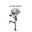 falldoWn