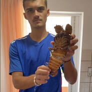 Koring ☆☬κɪɴɢ☬☆