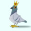 Royal Pigeon