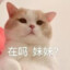 流年夜