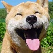 SynxS - steam id 76561197964211636