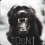 DsN