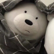 🐻