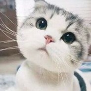 反应这么慢吗xd?
