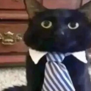 мяу:) - steam id 76561198408024155