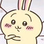 Usagi