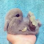 你是谁啊,我不认得.