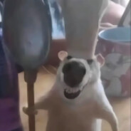 哥的冷酷零下3°