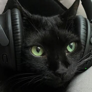 meow