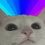 boredbass