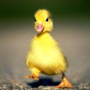 Mrs.Duck