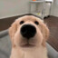 Aaaa