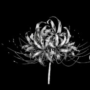 КОРОЛЬ КРИНЖА - steam id 76561199553880039