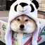 阿某