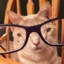 GatoLover