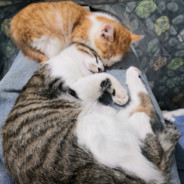 对面凭本事躲得我的枪