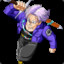 Trunks